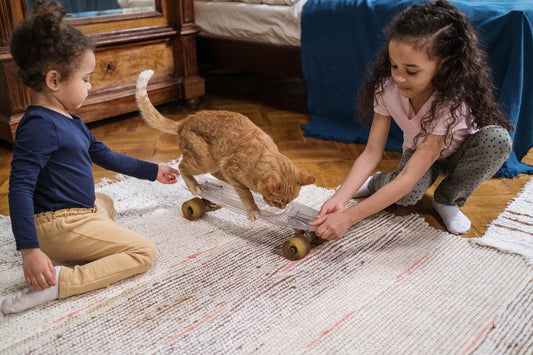I gatti possono aiutare i bambini con autismo - Il Gatto Dormiglione